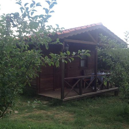 Salkim Konak Ve Agac Evler Affittacamere Selçuk Camera foto
