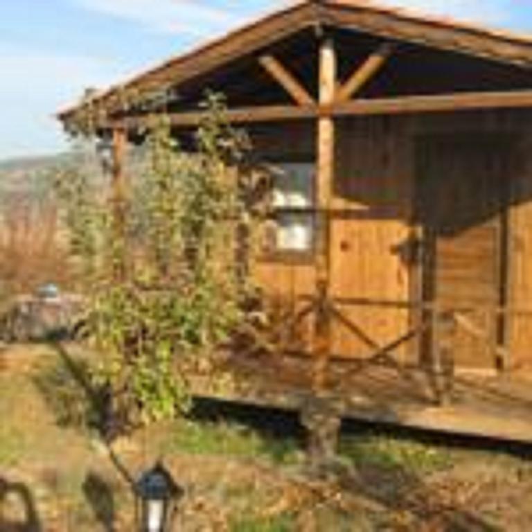 Salkim Konak Ve Agac Evler Affittacamere Selçuk Camera foto