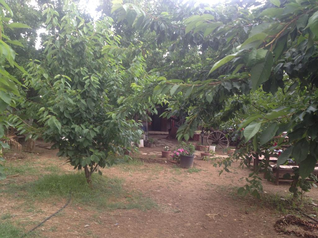 Salkim Konak Ve Agac Evler Affittacamere Selçuk Camera foto