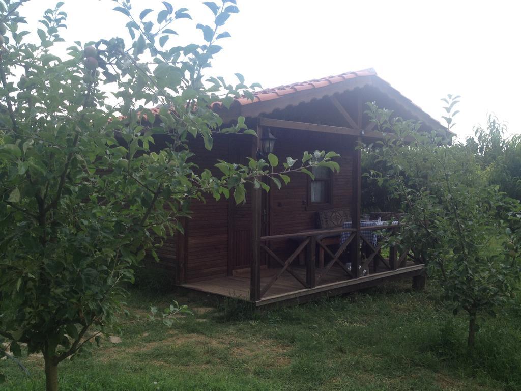 Salkim Konak Ve Agac Evler Affittacamere Selçuk Camera foto