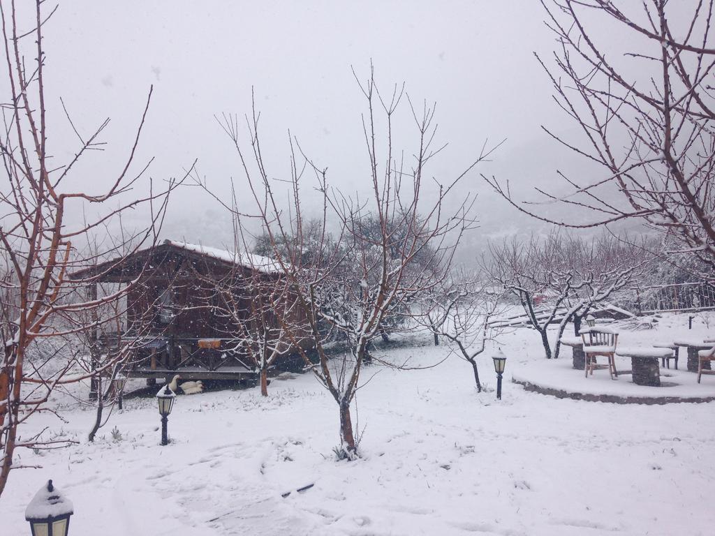 Salkim Konak Ve Agac Evler Affittacamere Selçuk Esterno foto