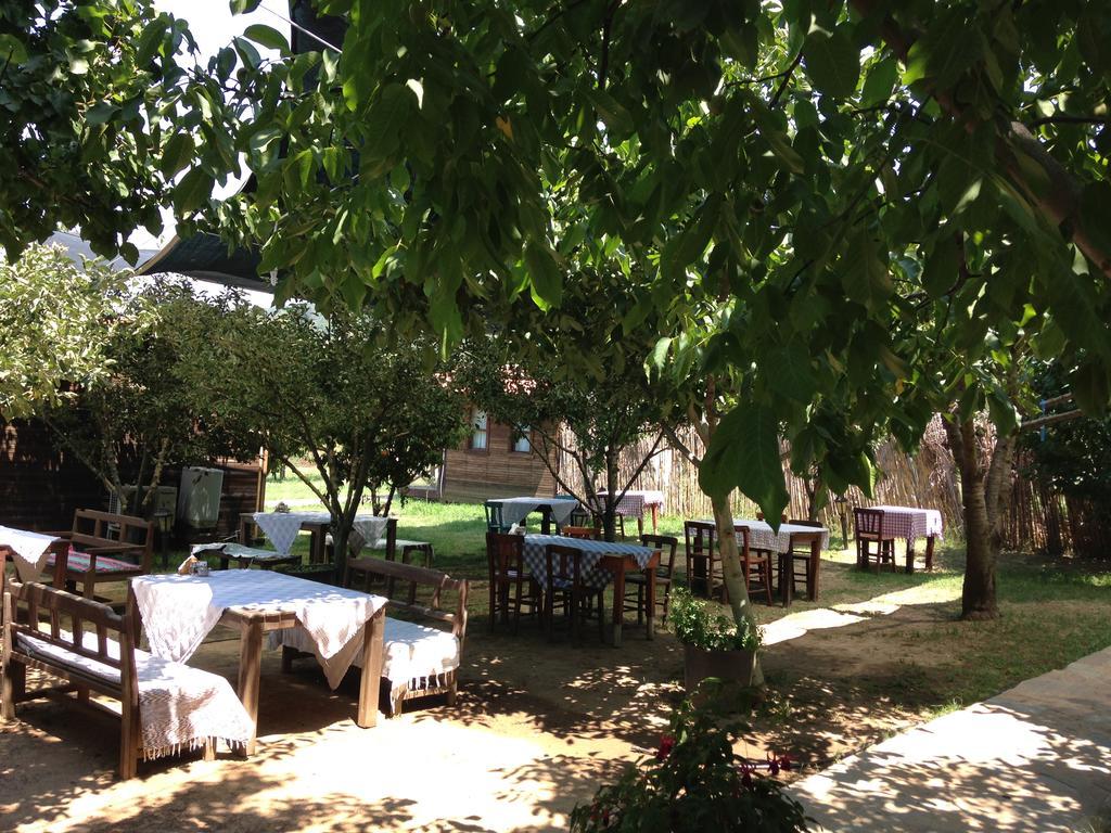 Salkim Konak Ve Agac Evler Affittacamere Selçuk Esterno foto